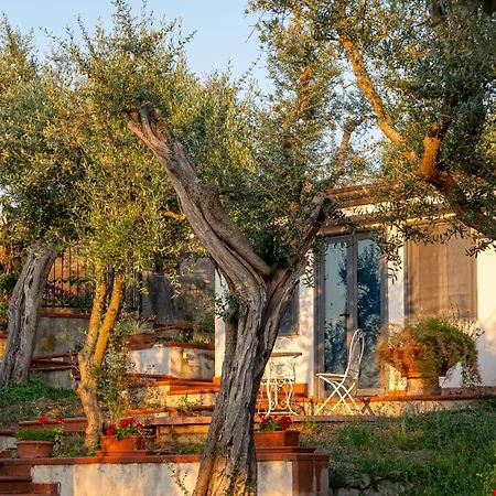 Frühstückspension Irma