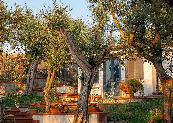 فندق مبيت وإفطار Irma