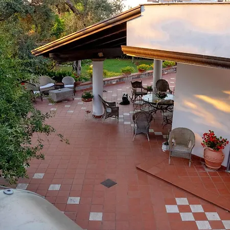 Irma فندق مبيت وإفطار 3*